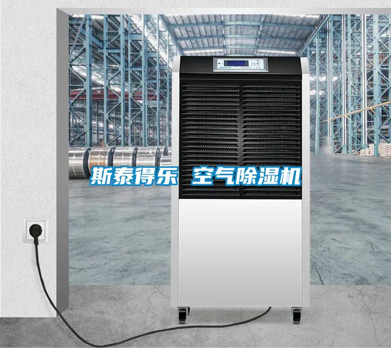 斯泰得乐 空气麻豆视频黄网站