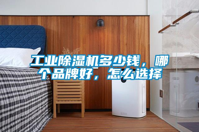 工业麻豆视频黄网站多少钱，哪个品牌好，怎么选择