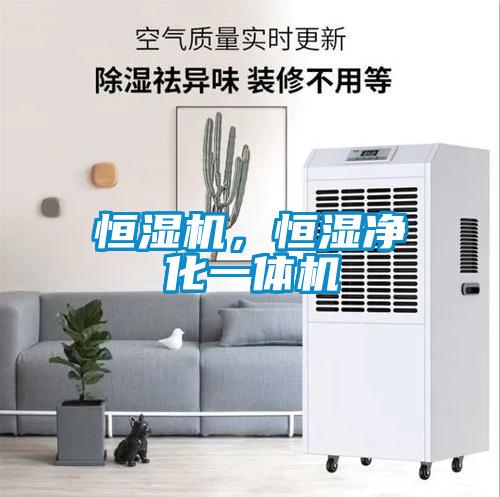 恒湿机，恒湿净化一体机