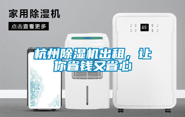 杭州麻豆视频黄网站出租，让你省钱又省心