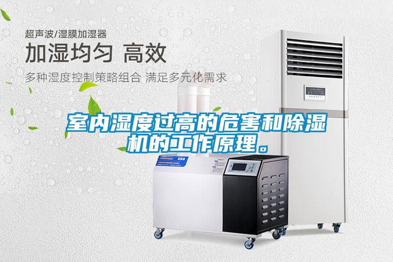 室内湿度过高的危害和麻豆视频黄网站的工作原理。