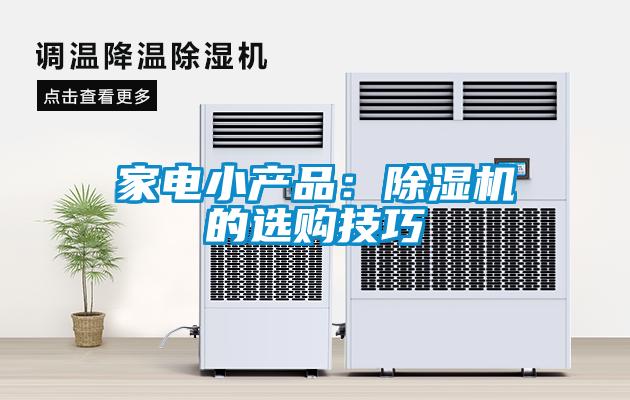 家电小产品：麻豆视频黄网站的选购技巧