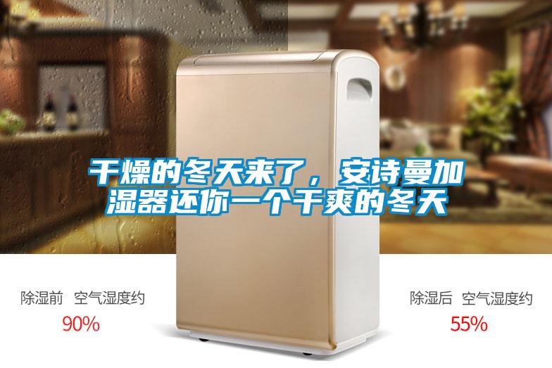 干燥的冬天来了，麻豆APP官网加湿器还你一个干爽的冬天