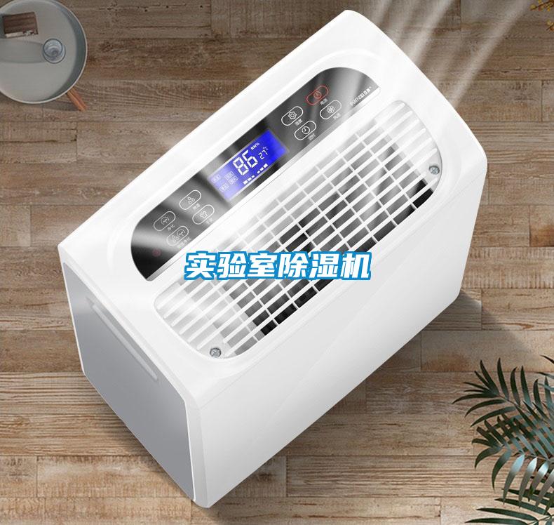 实验室麻豆视频黄网站