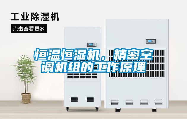 恒温恒湿机，精密空调机组的工作原理