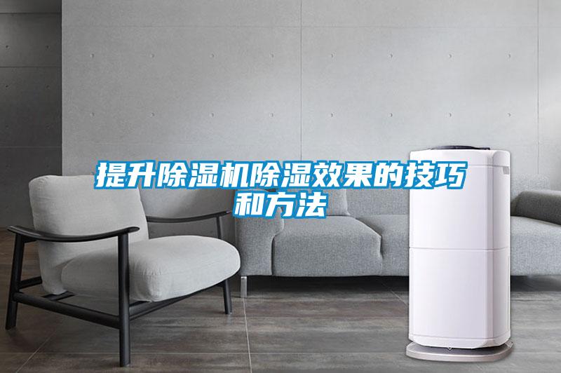 提升麻豆视频黄网站除湿效果的技巧和方法