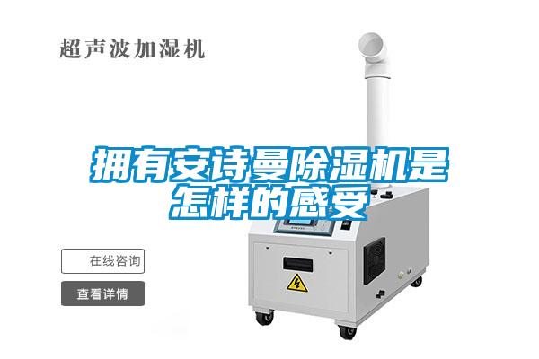 拥有麻豆APP官网麻豆视频黄网站是怎样的感受