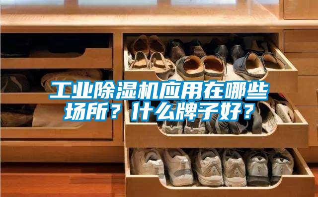 工业麻豆视频黄网站应用在哪些场所？什么牌子好？