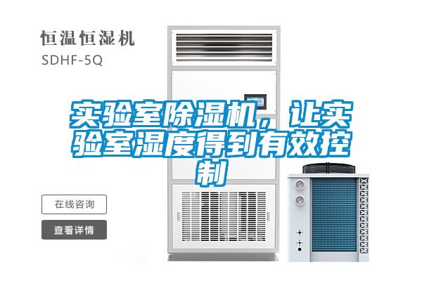 实验室麻豆视频黄网站，让实验室湿度得到有效控制