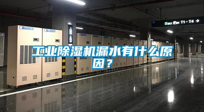 工业麻豆视频黄网站漏水有什么原因？