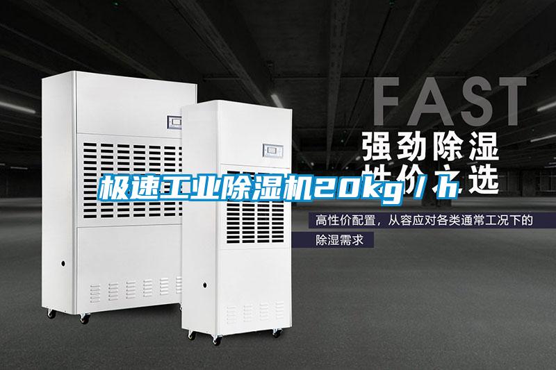 极速工业麻豆视频黄网站20kg／h