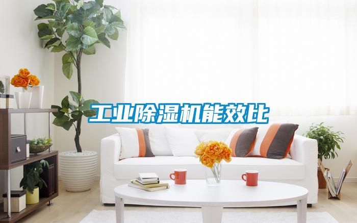 工业麻豆视频黄网站能效比