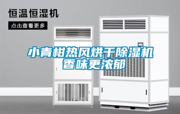 小青柑热风烘干麻豆视频黄网站 香味更浓郁