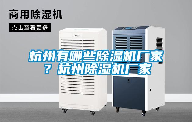杭州有哪些麻豆视频黄网站厂家？杭州麻豆视频黄网站厂家