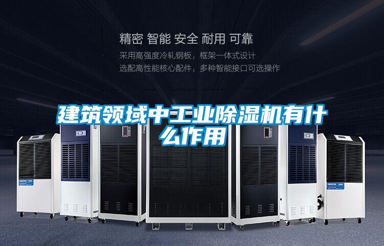 建筑领域中工业麻豆视频黄网站有什么作用