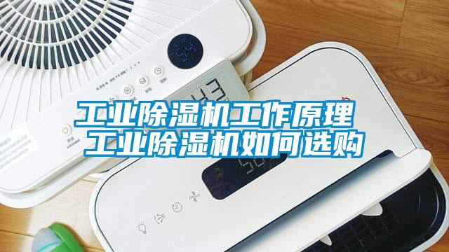 工业麻豆视频黄网站工作原理 工业麻豆视频黄网站如何选购