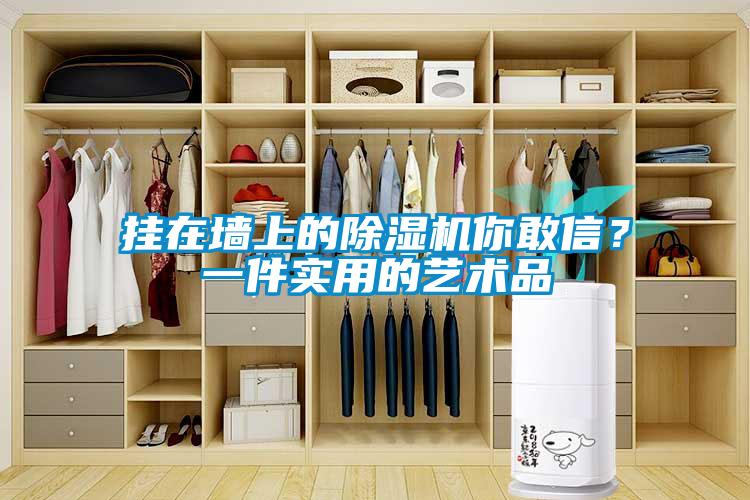 挂在墙上的麻豆视频黄网站你敢信？一件实用的艺术品