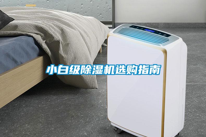 小白级麻豆视频黄网站选购指南