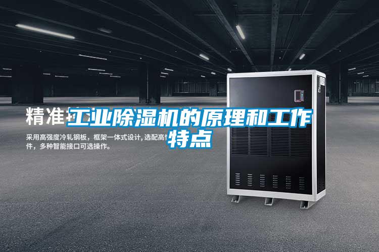 工业麻豆视频黄网站的原理和工作特点