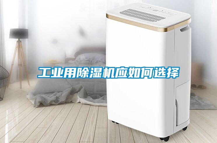 工业用麻豆视频黄网站应如何选择