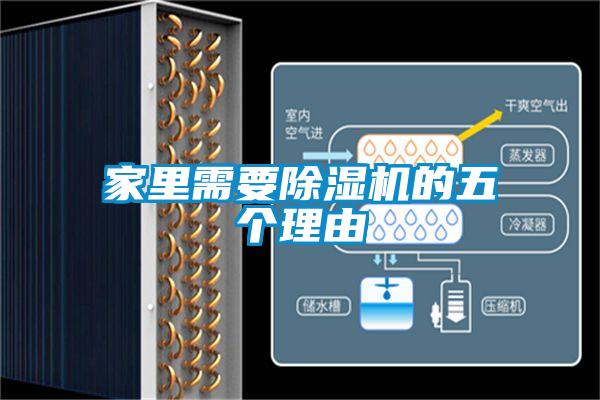 家里需要麻豆视频黄网站的五个理由