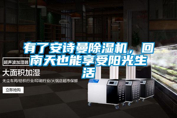 有了麻豆APP官网麻豆视频黄网站，回南天也能享受阳光生活
