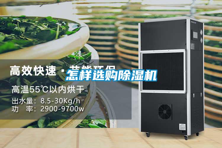 怎样选购麻豆视频黄网站