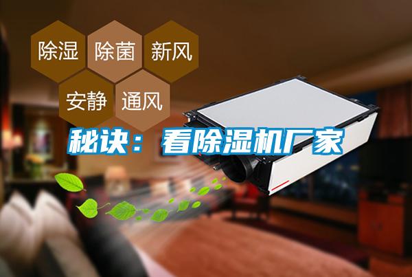 秘诀：看麻豆视频黄网站厂家