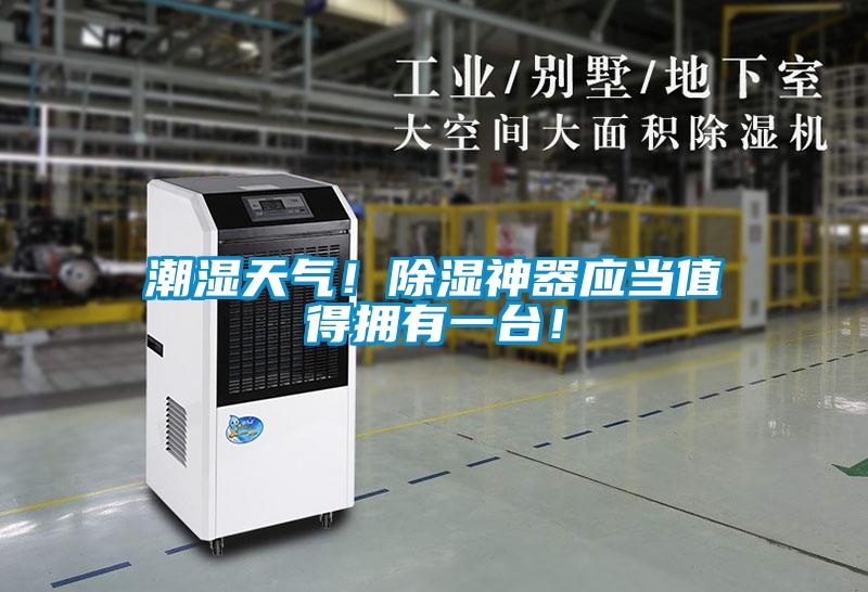 潮湿天气！除湿神器应当值得拥有一台！