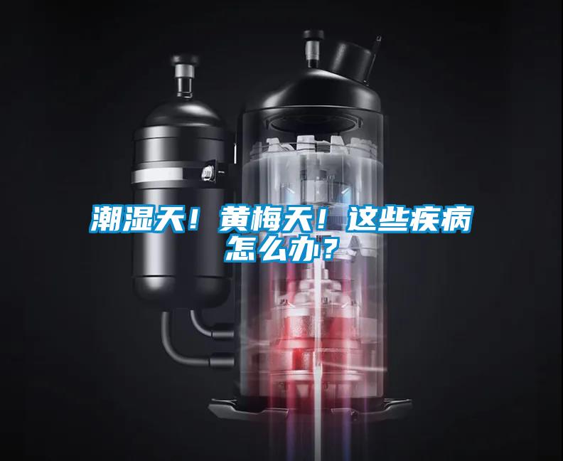 潮湿天！黄梅天！这些疾病怎么办？