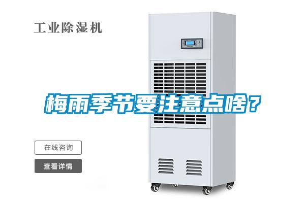 梅雨季节要注意点啥？