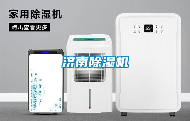 济南麻豆视频黄网站