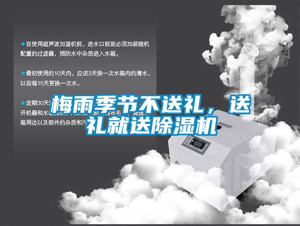 梅雨季节不送礼，送礼就送麻豆视频黄网站
