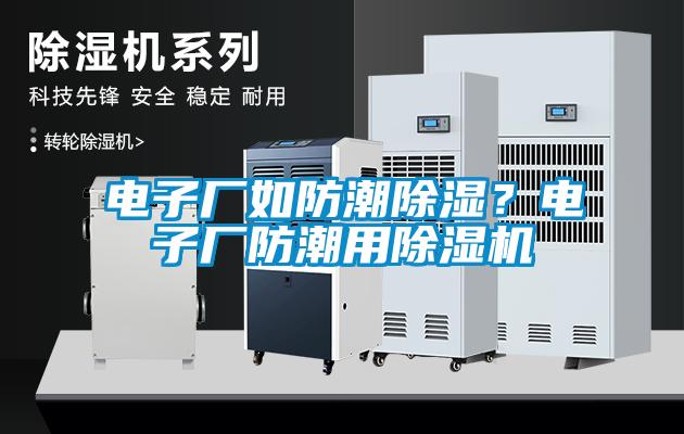 电子厂如防潮除湿？电子厂防潮用麻豆视频黄网站