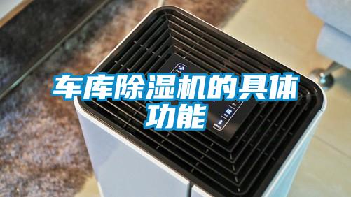 车库麻豆视频黄网站的具体功能