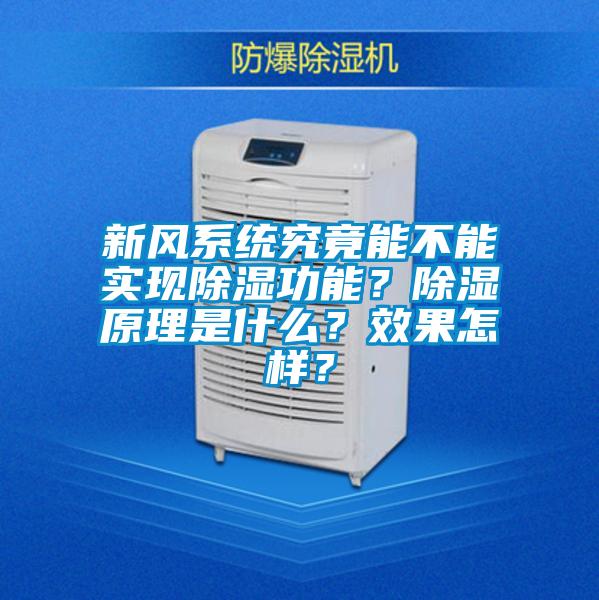 新风系统究竟能不能实现除湿功能？除湿原理是什么？效果怎样？
