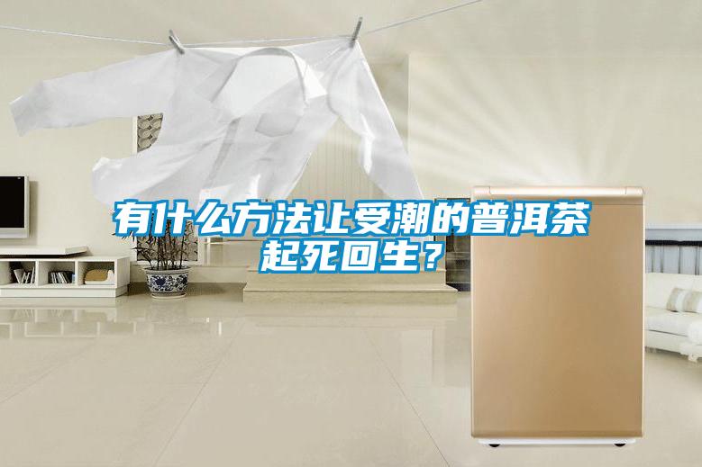 有什么方法让受潮的普洱茶起死回生？