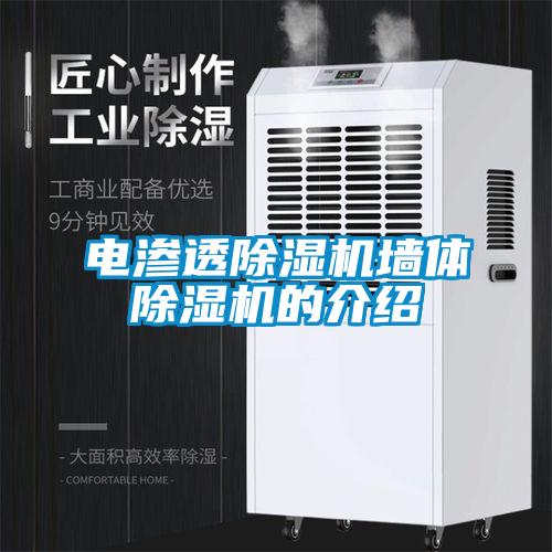 电渗透麻豆视频黄网站墙体麻豆视频黄网站的介绍