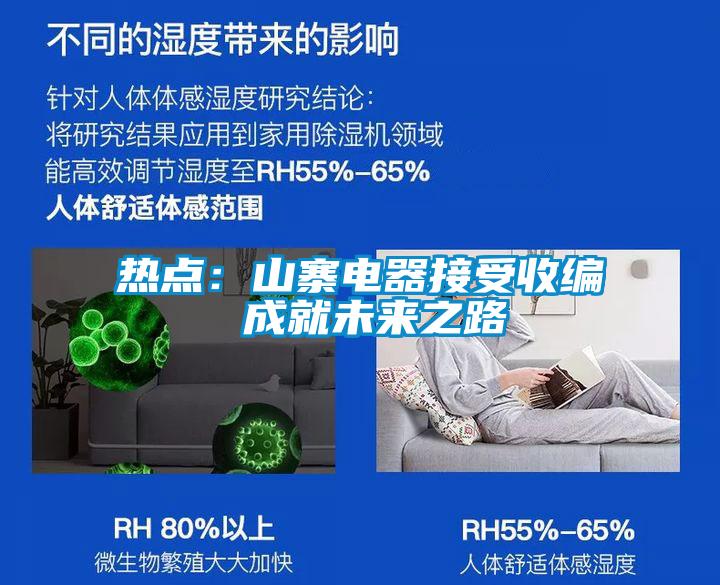 热点：山寨电器接受收编 成就未来之路