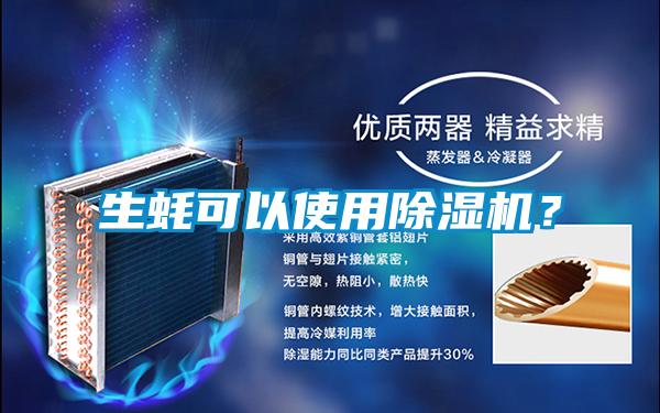 生蚝可以使用麻豆视频黄网站？