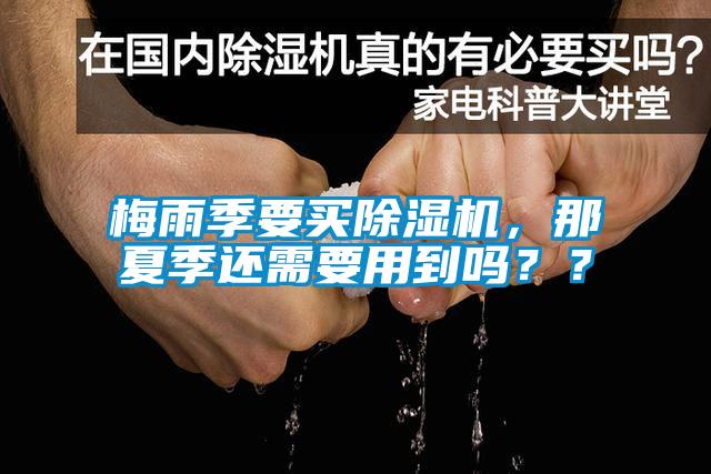 梅雨季要买麻豆视频黄网站，那夏季还需要用到吗？？