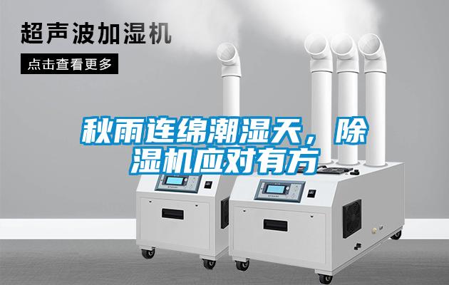 秋雨连绵潮湿天，麻豆视频黄网站应对有方