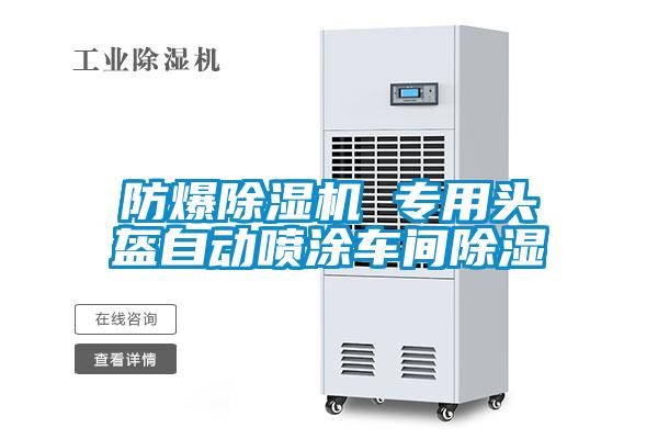防爆麻豆视频黄网站 专用头盔自动喷涂车间除湿