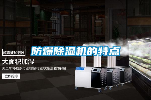防爆麻豆视频黄网站的特点