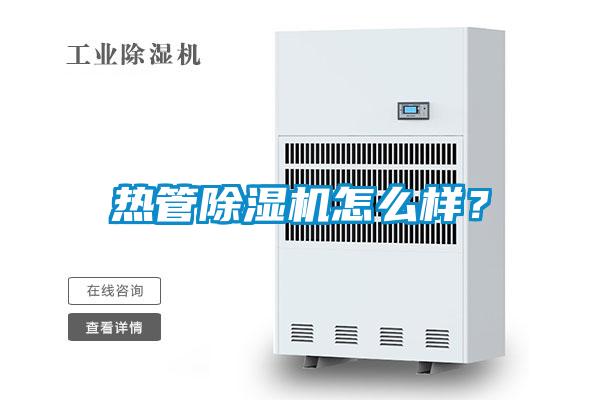 热管麻豆视频黄网站怎么样？