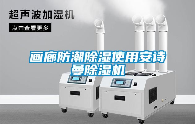 画廊防潮除湿使用麻豆APP官网麻豆视频黄网站