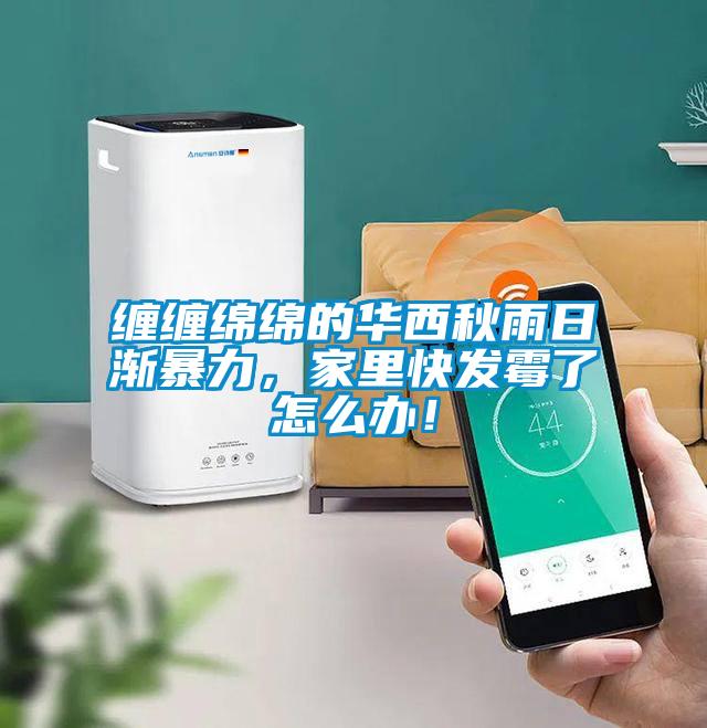 缠缠绵绵的华西秋雨日渐暴力，家里快发霉了怎么办！