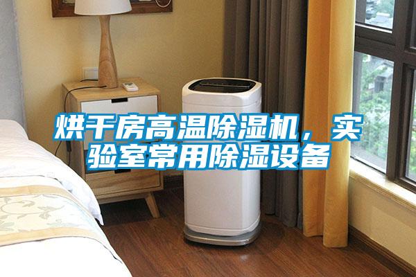 烘干房高温麻豆视频黄网站，实验室常用除湿设备