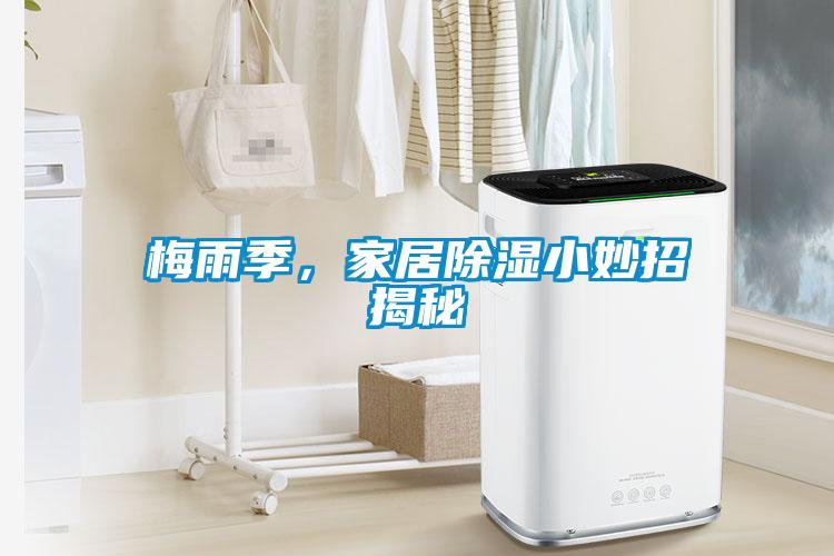 梅雨季，家居除湿小妙招揭秘