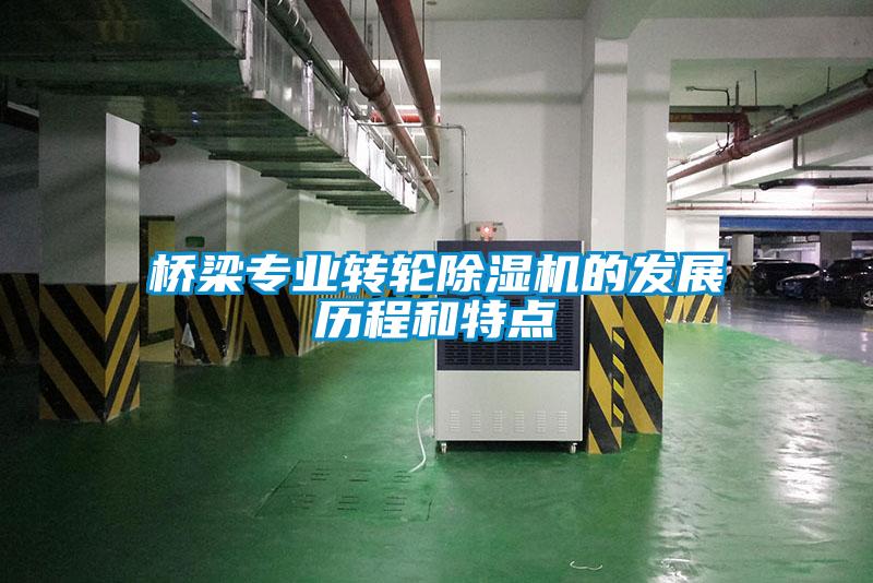 桥梁专业转轮麻豆视频黄网站的发展历程和特点